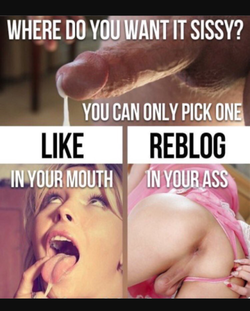 i-worship-shecock - Why not both!