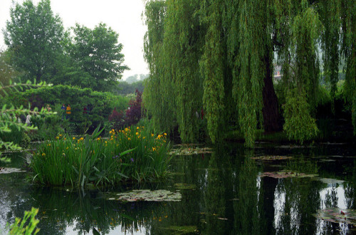 floralls:Monet’s house&garden, Giverny, France by Rick...