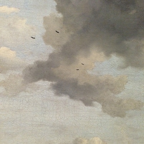 plantables - cloudy day, cloudy paintings