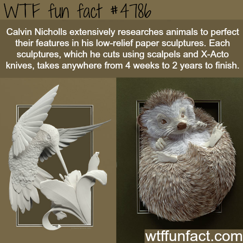 a-submissive-life - pinkfoxbouquetfan - wtf-fun-factss - Paper...