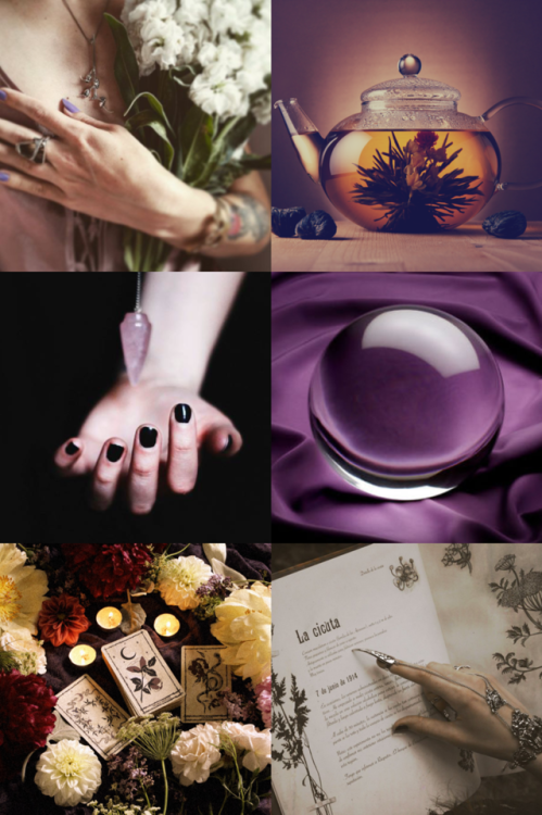 borrowers-of-the-night:A floral divination mood board, as...