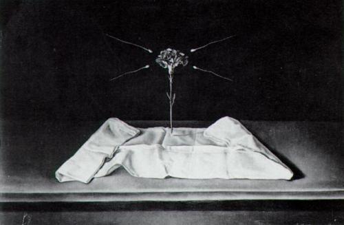 surrealism-love - Mystical Carnation, 1950, Salvador Dali