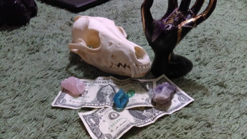 mothmaam - The money skull cometh! Reblog within 24 hours to...