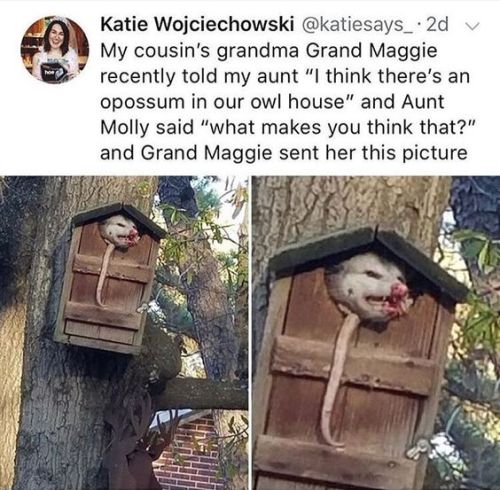 deadcatwithaflamethrower - whitepeopletwitter - I think I see...