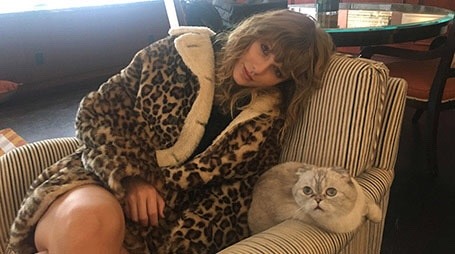 chansukcatsmile - Taylor and Olivia