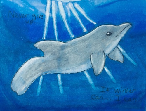 toki-trolls - I drew this today because this dolphin is my...