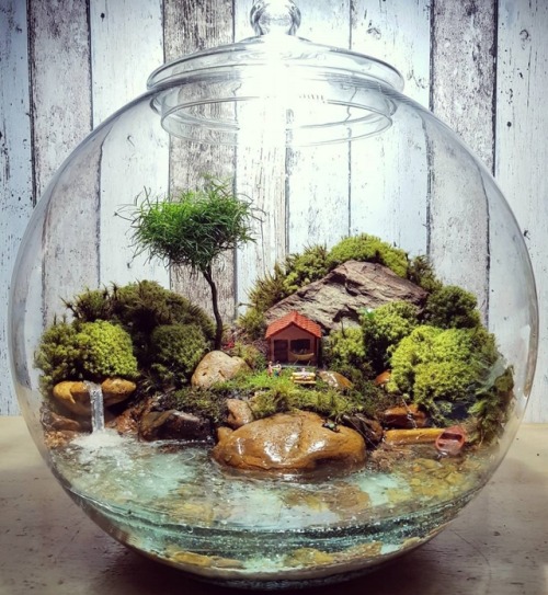 sosuperawesome - Terra Jardim on Instagram