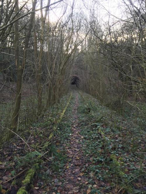 abandonedandurbex - Keele railway tunnel, UK. 19 years since the...