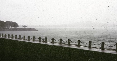 Boston harbor rain (at John F. Kennedy Presidential Library and...