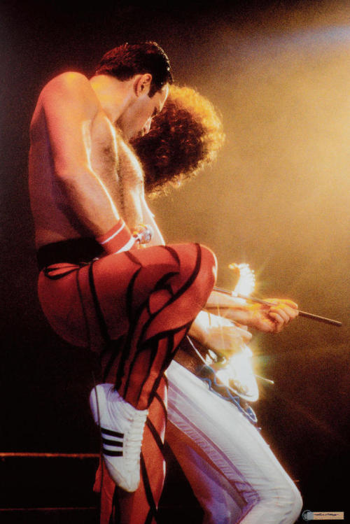 thefashioncomplex - Freddie Mercury and Brian May at Forest...