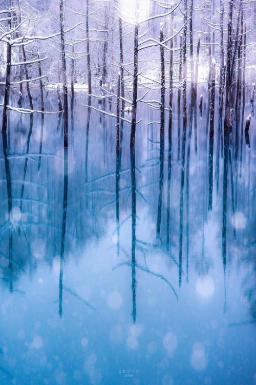 maureen2musings - Snowy Blue Pond, Hokkaido,...