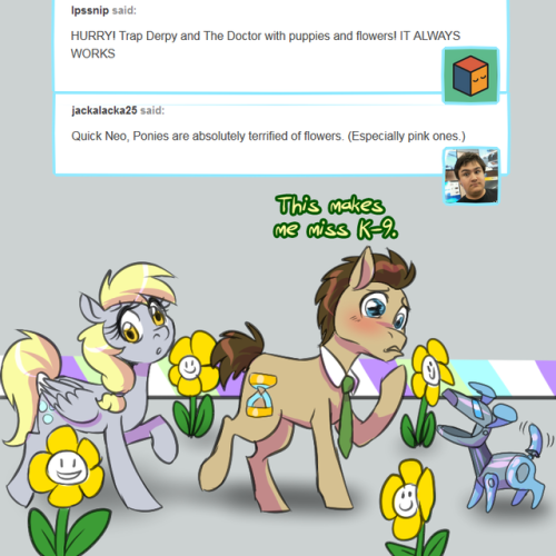 lovestruck-derpy:TUMBLR, WHAT HAVE YOU DONE?