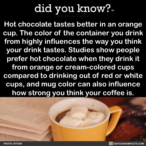 hot-chocolate-tastes-better-in-an-orange-cup-the