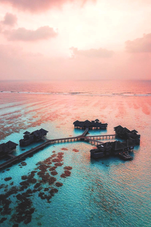 lsleofskye - Maldives | jeremyaustiin
