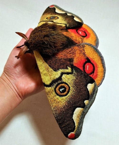 sosuperawesome:Moth and Butterfly Fibre Sculptures, by Yumi...
