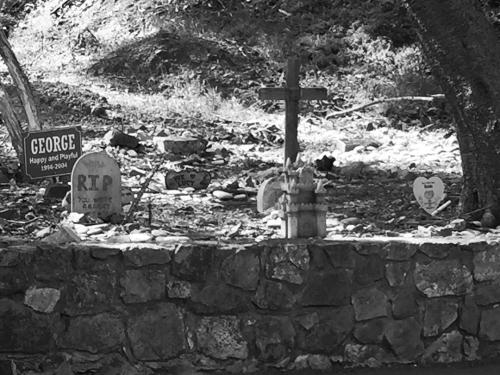 Catalina’s pet cemetery, just a little creepy #peachez...