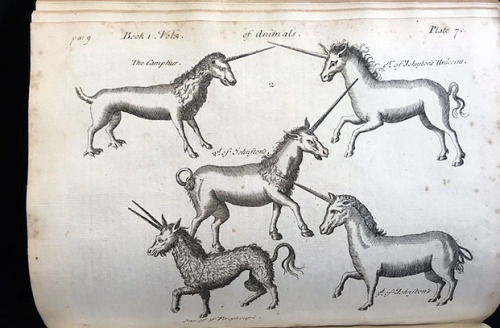 smithsonianlibraries - From the 1748 English edition of Pierre...