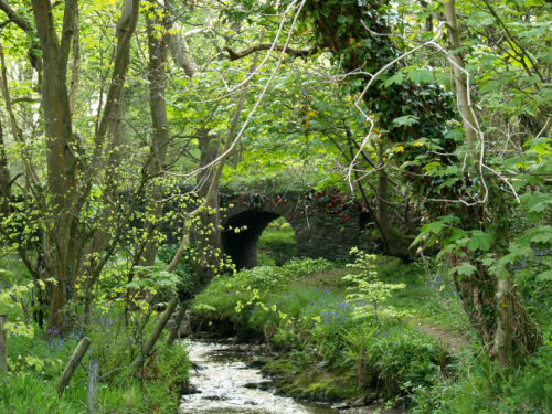 pagewoman - Fairy Bridge, Isle of Manvia lovely greens