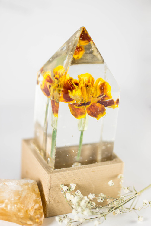 mossofthewoodsjewelry - French Marigold (Tagetes patula) - Floral...
