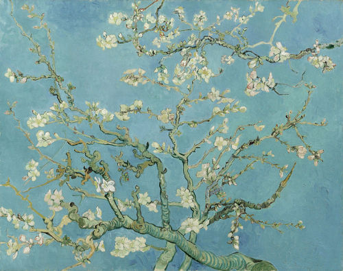 soulmadebyart:Almond Blossoms, 1890, Van Gogh Museum.
