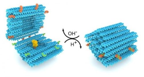 materialsscienceandengineering - DNA folds into a smart...