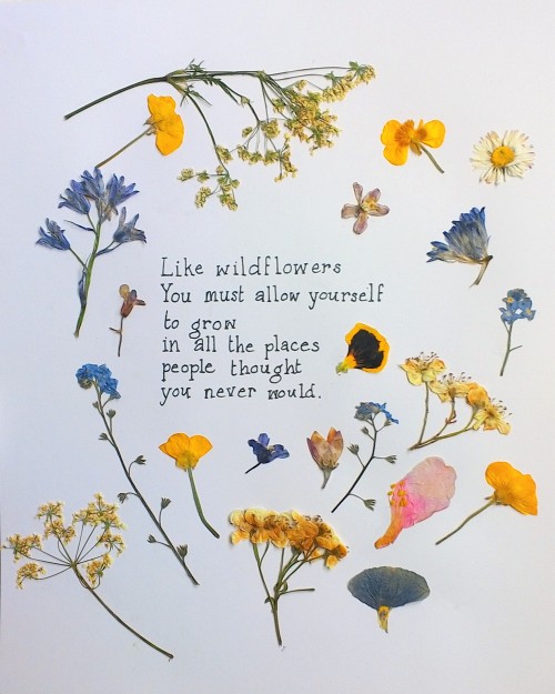 heart-of-a-wildflower - More wildflowers x