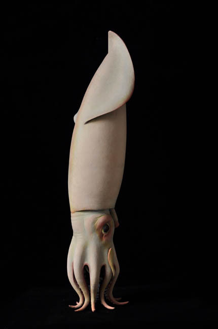 apolonisaphrodisia - Amazing cephalopods sculptures by Judy...