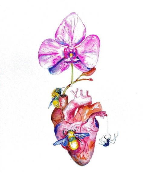 kristinacloss:Orchid Heart