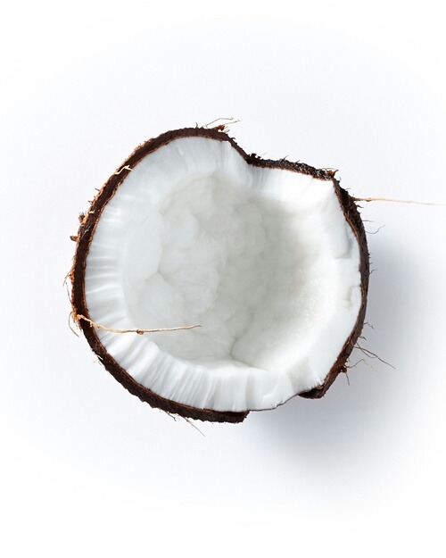 hellosummerloveposts - Coconut