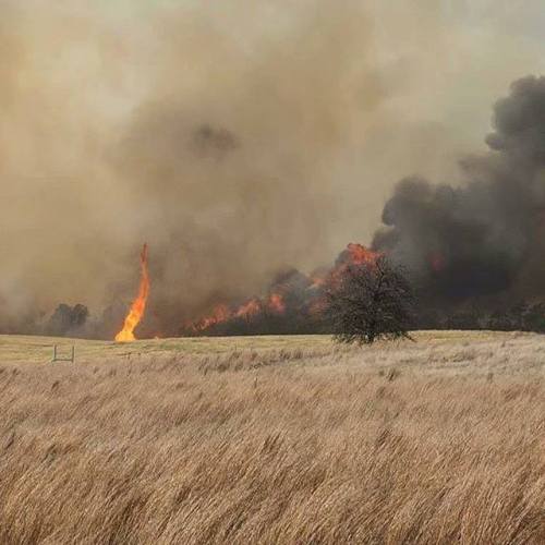 tornadotitans - Fire tornado along a raging fire line in a grove...