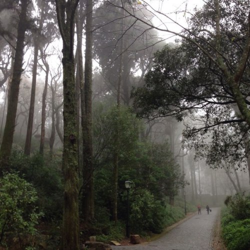 ghostlywriterr - Beautiful Sintra, Portugal.by @saintjoan