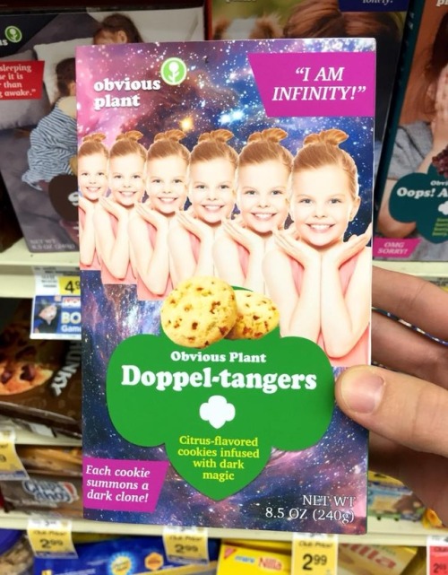obviousplant:I made some new Girl Scout cookie flavors. See a...