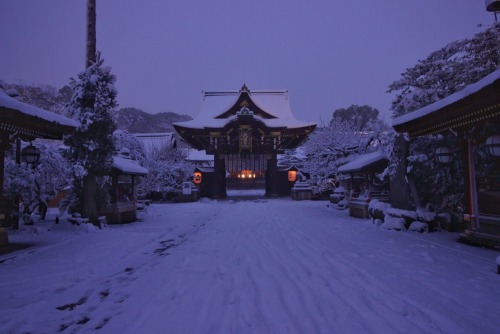 chitaka45 - 今朝の北野天満宮Kitanotenmangu Shrine in snow