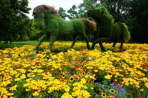 Some gorgeous sculptures located at the Montreal Botanical...