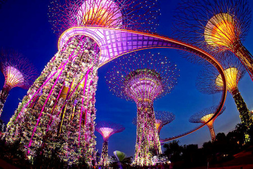 inkxlenses - Supertrees at Singapore Gardens by the Bay | ©...