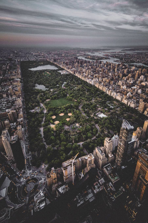 banshy:Central Park // Ai Visuals