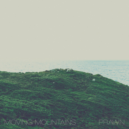 Moving Mountains/Prawn - Split EP