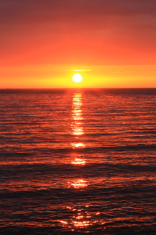 captvinvanity - Ocean sunset | Photographer | CV