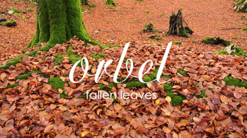 beautiful-basque-country - Autumn themed Basque vocabulary ^_^.