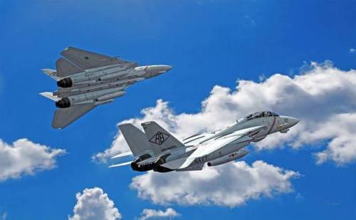 planesawesome - A section of U.S. Navy Grumman F-14A Tomcat...