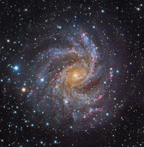 photos-of-space - NGC 6946, Fireworks Galaxy [1280 x 1308]