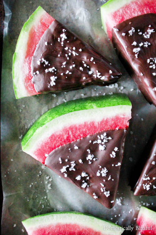 verticalfood - Sea Salt Dark Chocolate Watermelon Slices