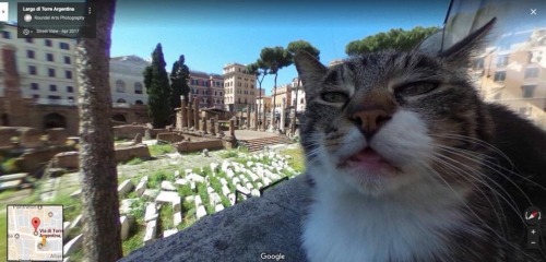 nixcraft:Google street view in Rome@hamiltrash-32000
