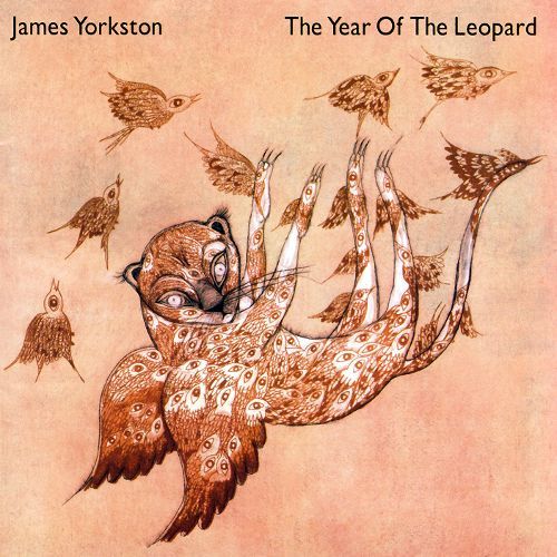 1783. James Yorkston - The Year Of The Leopard (Domino - 2006)Je...