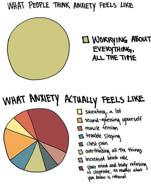 introspectiveavian - anxietyproblem - This blog is Dedicated to...