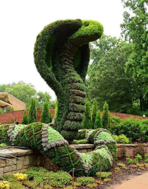 everythingstarstuff - arbosculpture at Atlanta Botanical...