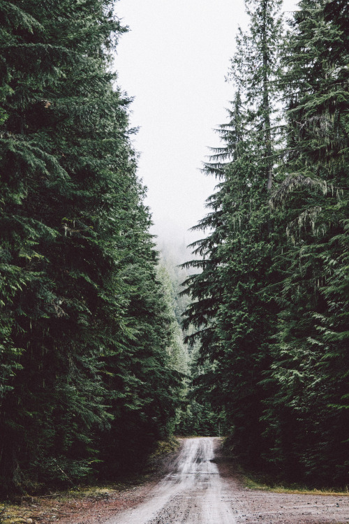 embrace-the-wild:Instagram:Embrace The Wild