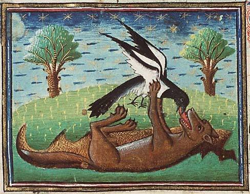 Two Medieval Monks Invent Bestiaries