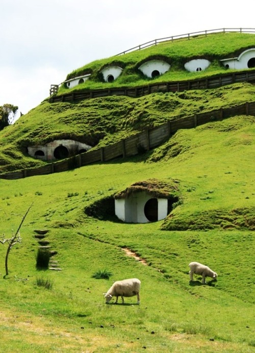 minardil - Abandoned Hobbiton from Lord Of The Rings taken over...