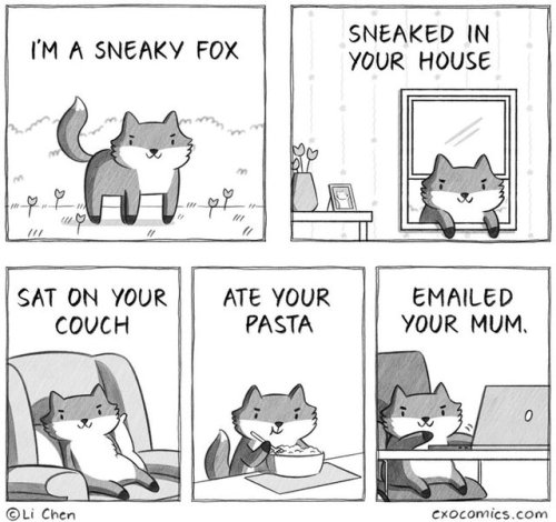 tastefullyoffensive - by Extra OrdinaryFucking fox